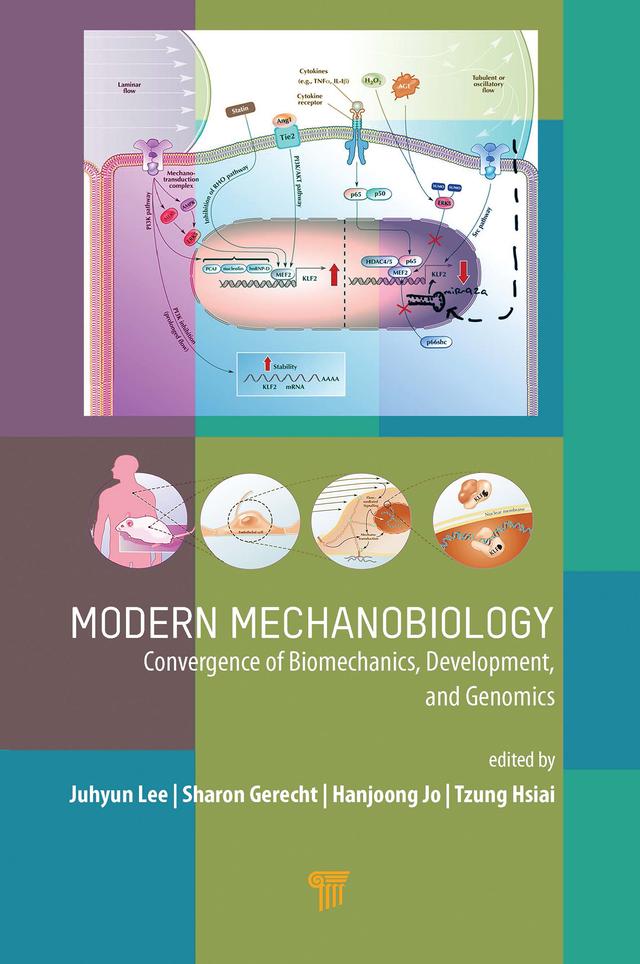 Modern Mechanobiology by Hanjoong Jo, Juhyun Lee, Sharon Gerecht, Tzung Hsiai