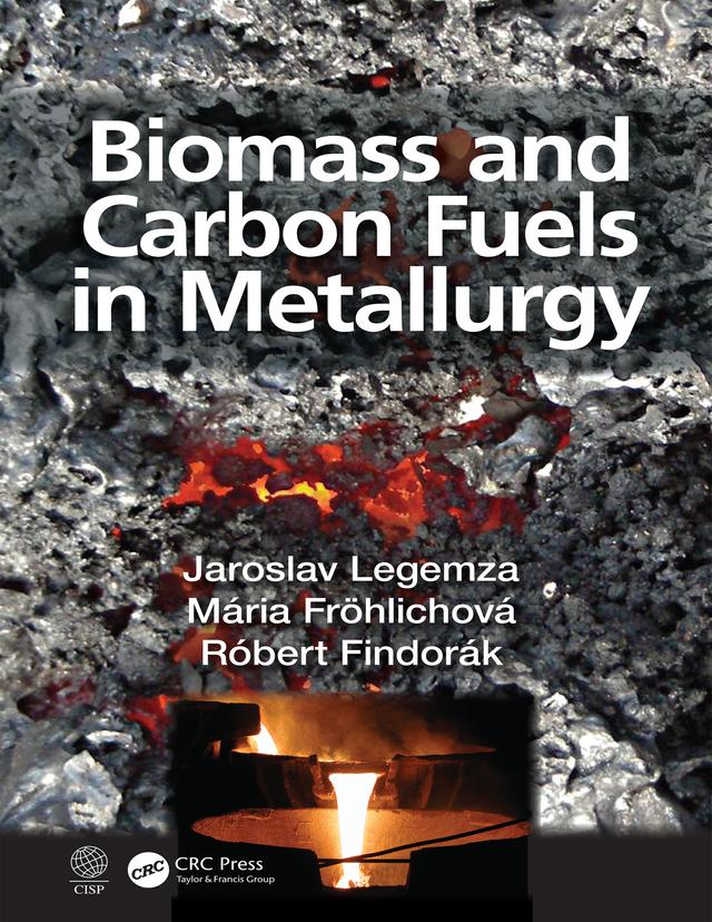 Biomass and Carbon Fuels in Metallurgy by Jaroslav Legemza, Mária Fröhlichová, Róbert Findorák