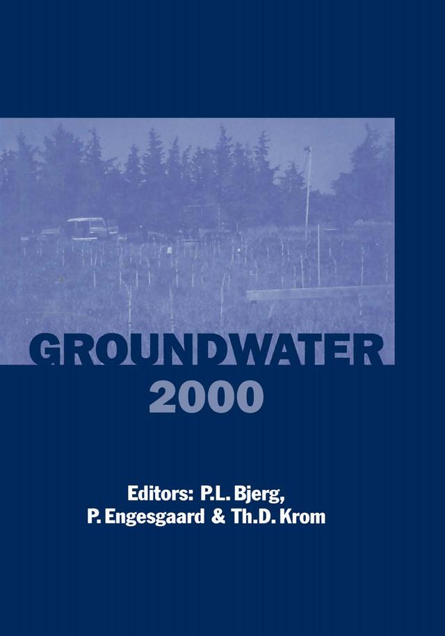 Groundwater 2000 by Peter Engesgaard, Poul L. Bjerg, Thomas D. Krom