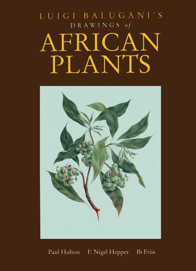 Luigi Balugani's Drawings of African Plants by Paul Hulton