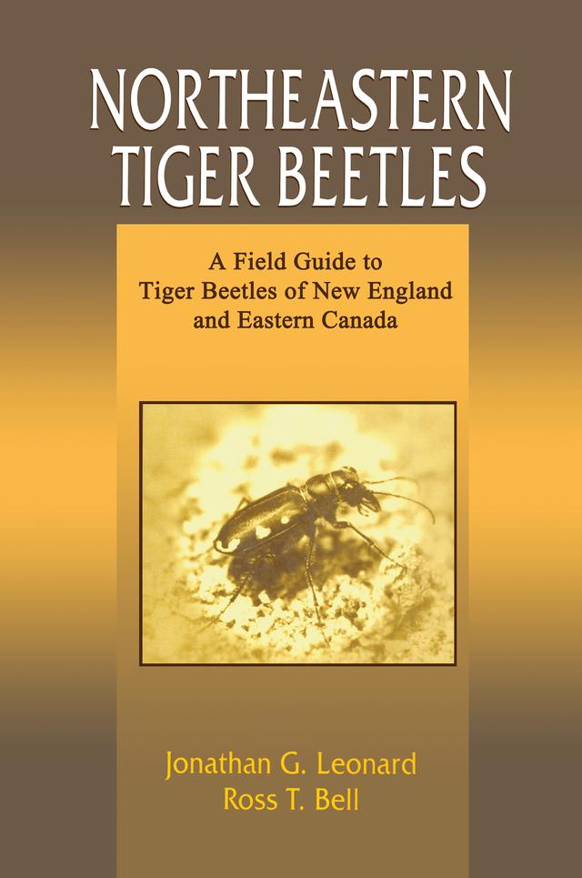 Northeastern Tiger Beetles by Jonathan G. Leonard