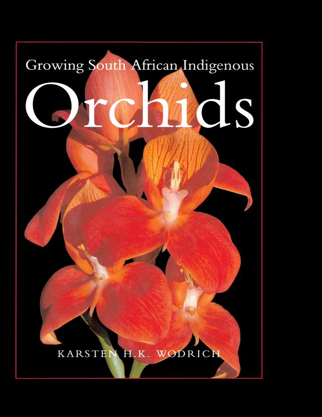 Growing South African Indigenous Orchids by Karsten Wodrich
