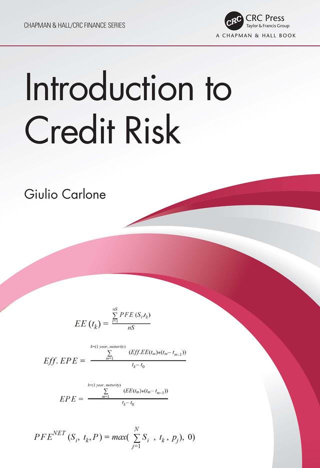 Introduction to Credit Risk by Giulio Carlone