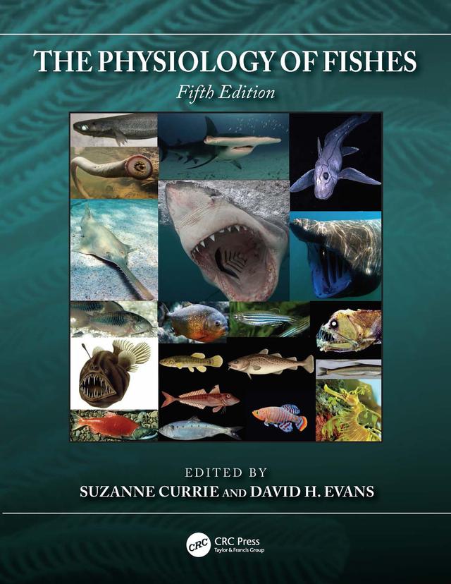 The Physiology of Fishes by David H. Evans, Suzanne Currie
