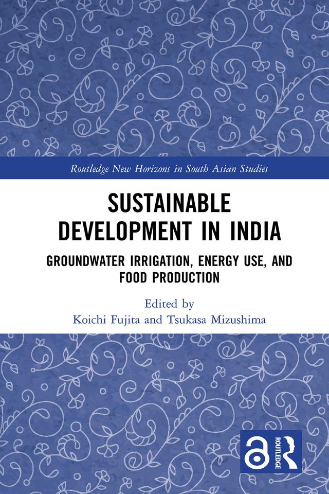 Sustainable Development in India by Koichi Fujita, Tsukasa Mizushima