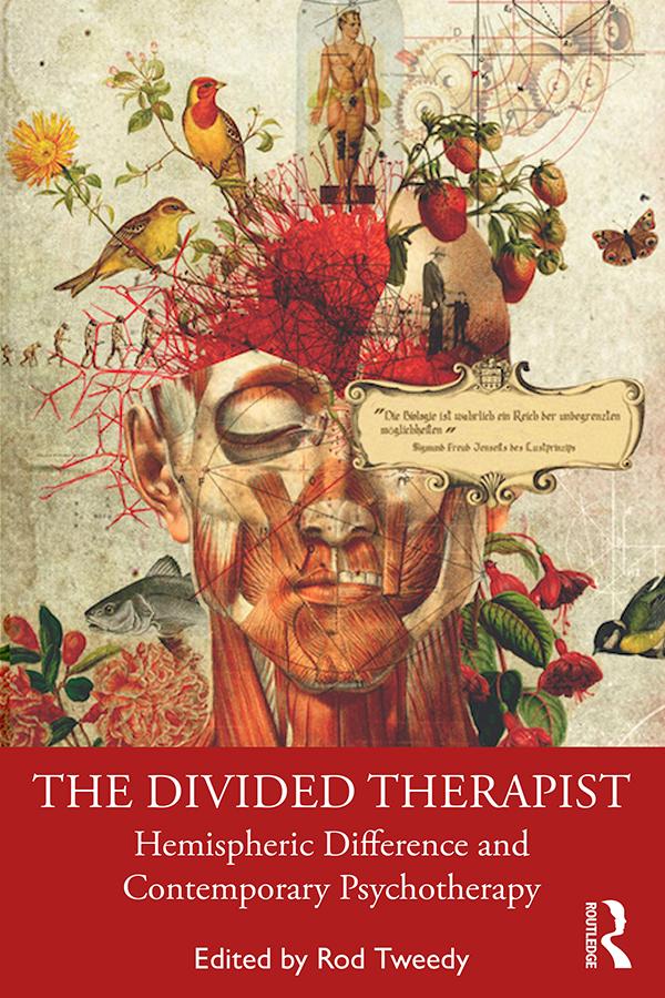 The Divided Therapist by Rod Tweedy