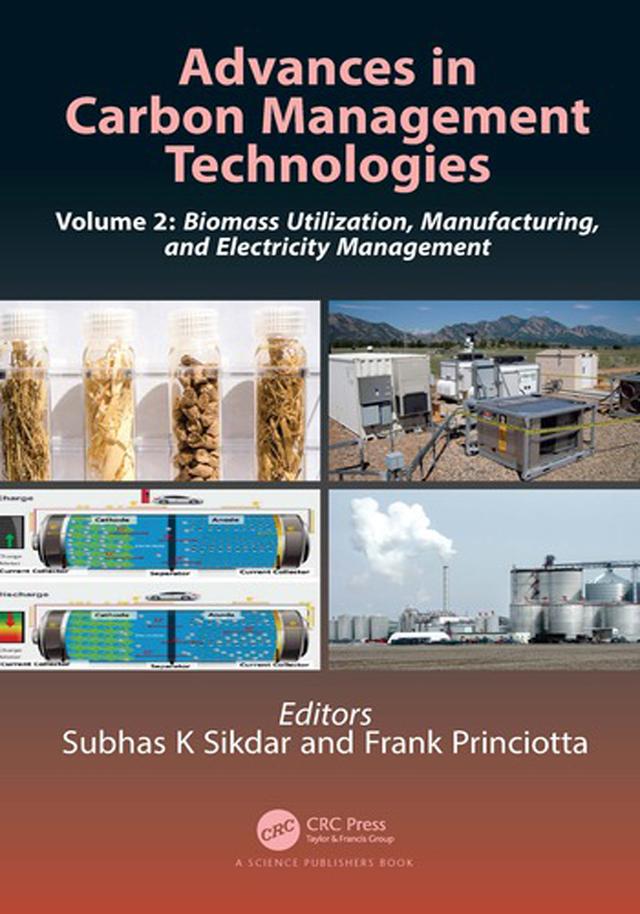 Advances in Carbon Management Technologies by Frank Princiotta, Subhas K. Sikdar