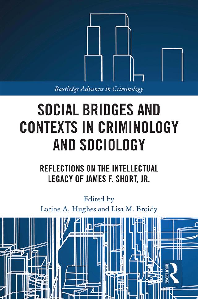 Social Bridges and Contexts in Criminology and Sociology by Lisa Broidy, Lorine Hughes