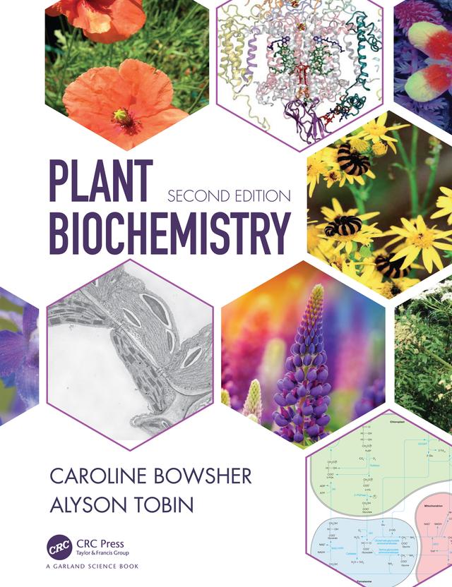 Plant Biochemistry by Alyson Tobin, Caroline Bowsher