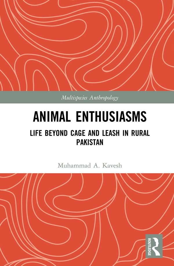 Animal Enthusiasms by Muhammad A. Kavesh