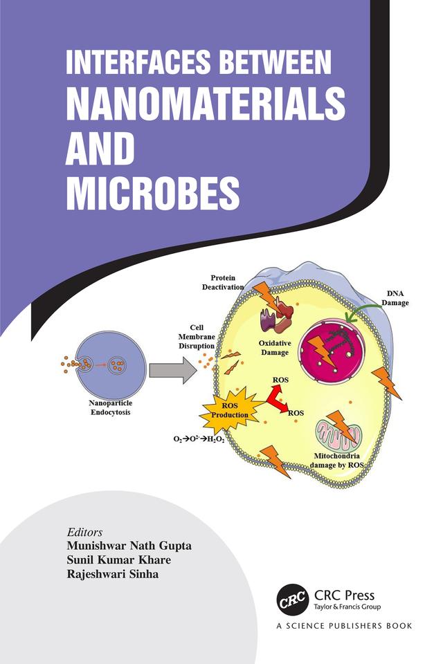 Interfaces Between Nanomaterials and Microbes by Munishwar Nath Gupta, Rajeshwari Sinha, Sunil Kumar Khare