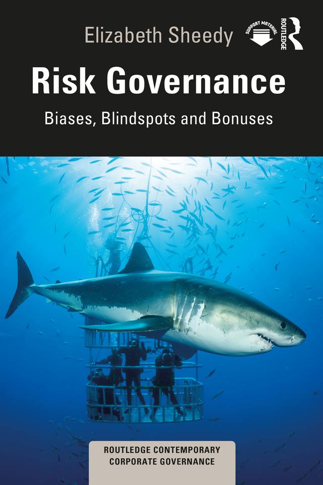 Risk Governance by Elizabeth Sheedy