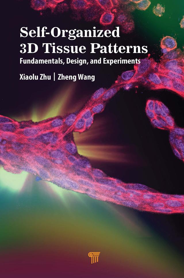 Self-Organized 3D Tissue Patterns by Xiaolu Zhu, Zheng Wang