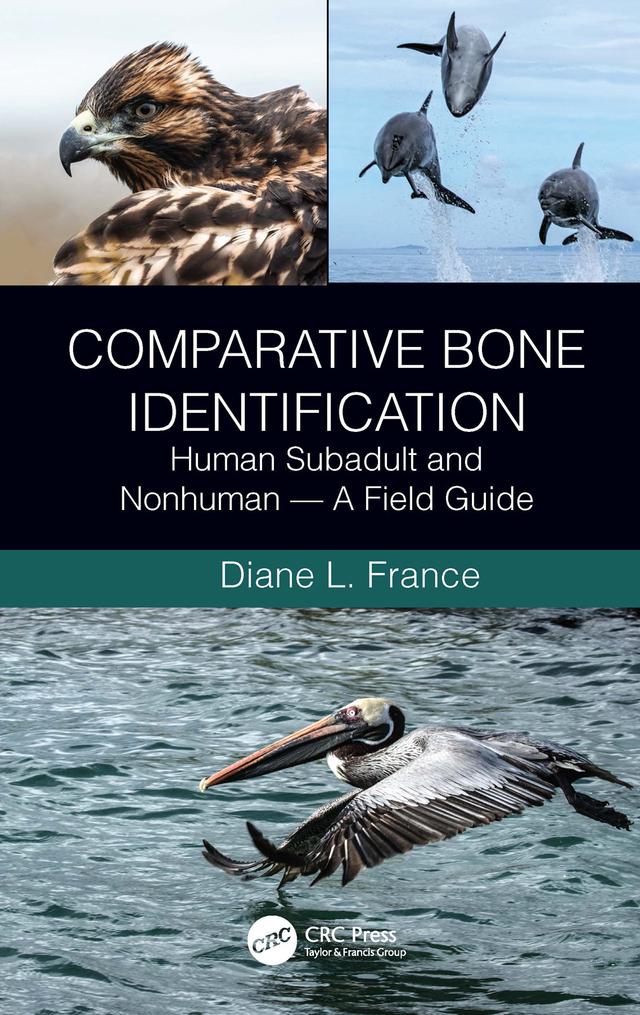 Comparative Bone Identification by Diane L. France