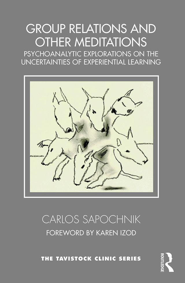 Group Relations and Other Meditations by Carlos Sapochnik