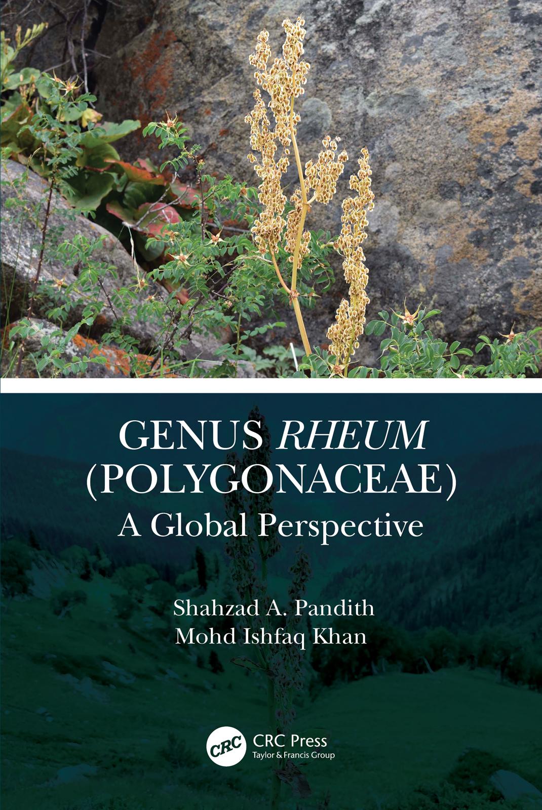 Genus Rheum (Polygonaceae)
