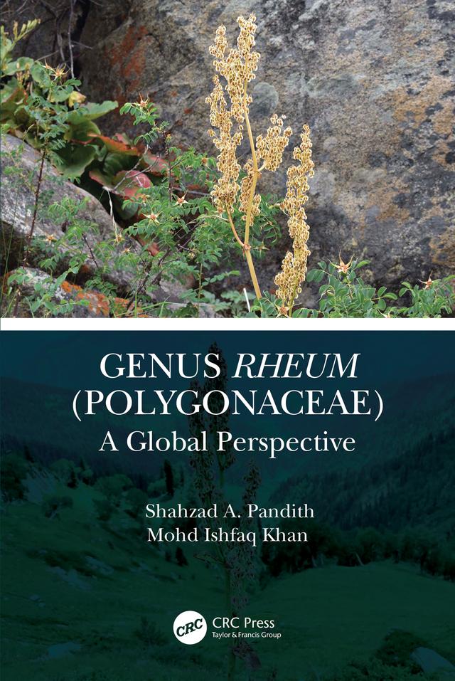 Genus Rheum (Polygonaceae) by Mohd. Ishfaq Khan, Shahzad A. Pandith