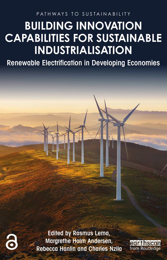 Building Innovation Capabilities for Sustainable Industrialisation by Charles Nzila, Margrethe Holm Andersen, Rasmus Lema, Rebecca Hanlin