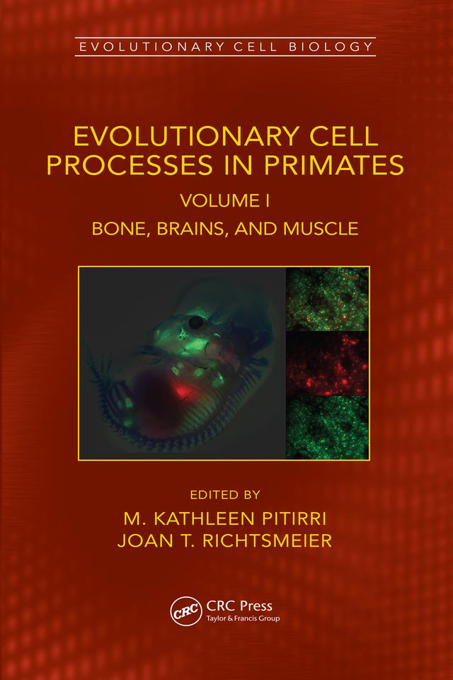 Evolutionary Cell Processes in Primates by Joan T. Richtsmeier, M. Kathleen Pitirri