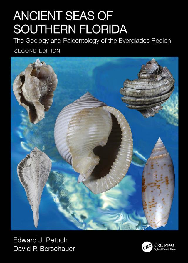 Ancient Seas of Southern Florida by David P. Berschauer, Edward J. Petuch