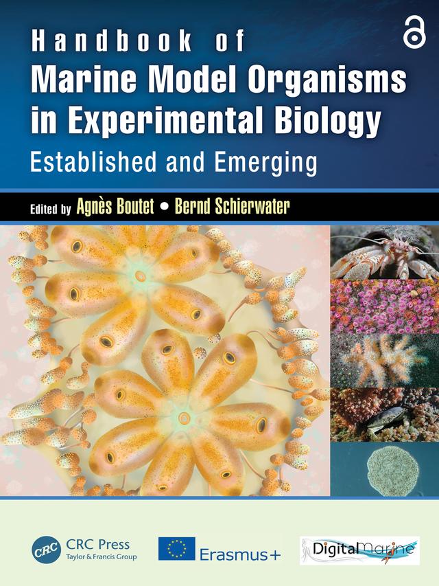 Handbook of Marine Model Organisms in Experimental Biology by Agnes Boutet, Bernd Schierwater