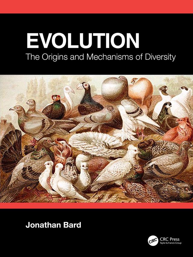 Evolution by Jonathan Bard