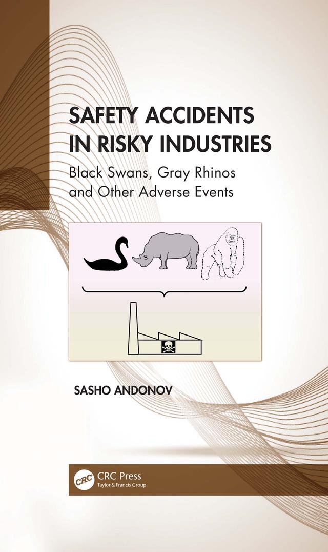 Safety Accidents in Risky Industries by Sasho Andonov