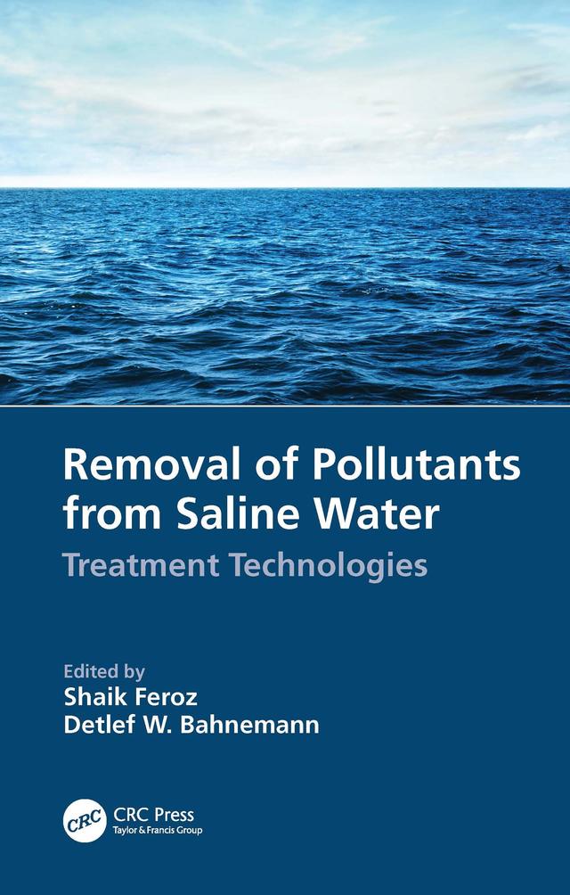 Removal of Pollutants from Saline Water by Detlef W. Bahnemann, Shaik Feroz