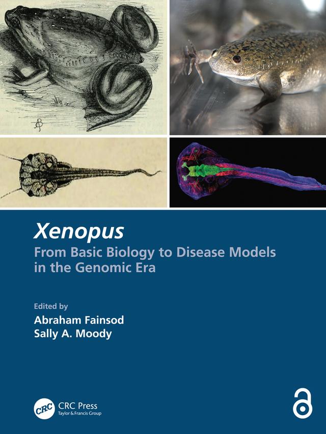 Xenopus by Abraham Fainsod, Sally A. Moody