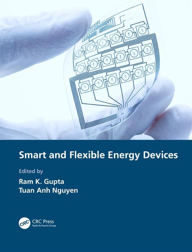 Smart and Flexible Energy Devices by Ram K. Gupta, Tuan Anh Nguyen