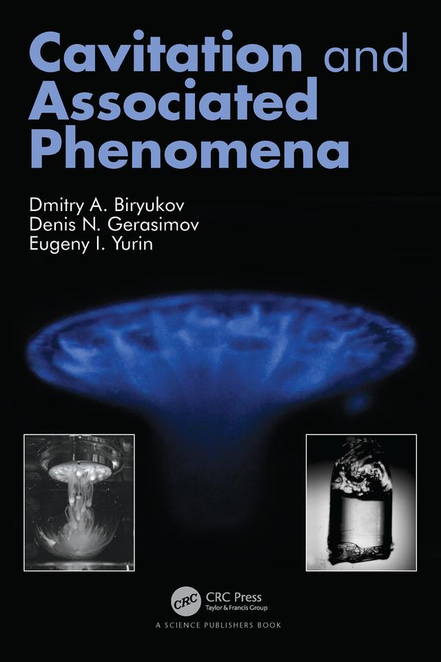 Cavitation and Associated Phenomena by Denis Gerasimov, Dmitry Biryukov, Eugeny Yurin
