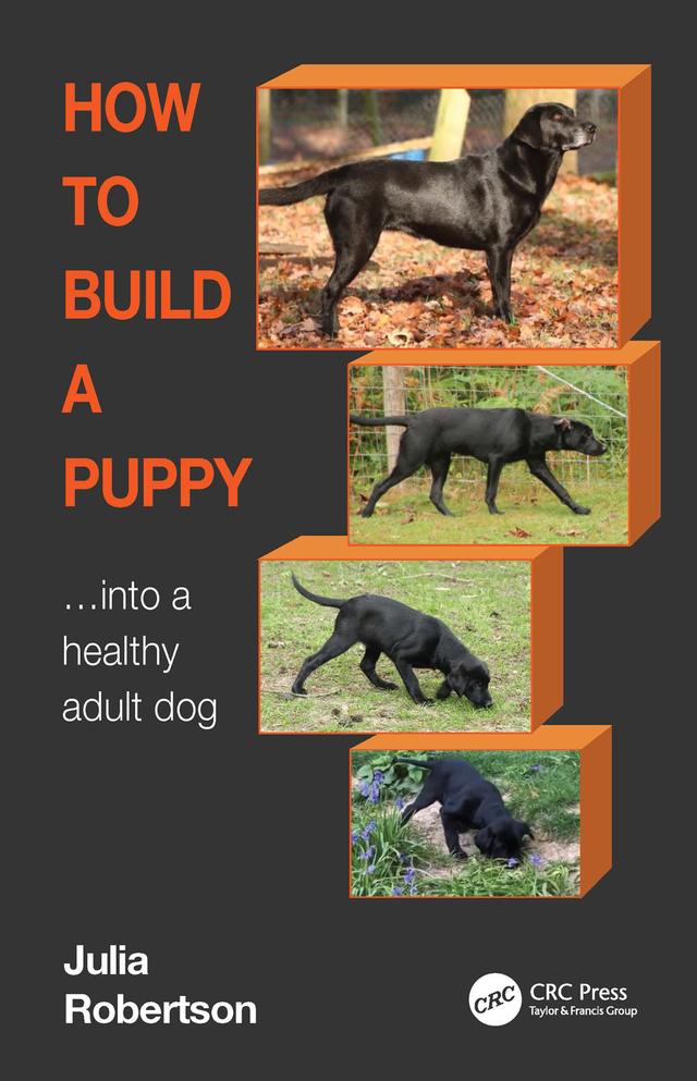 How to Build a Puppy by Julia Robertson