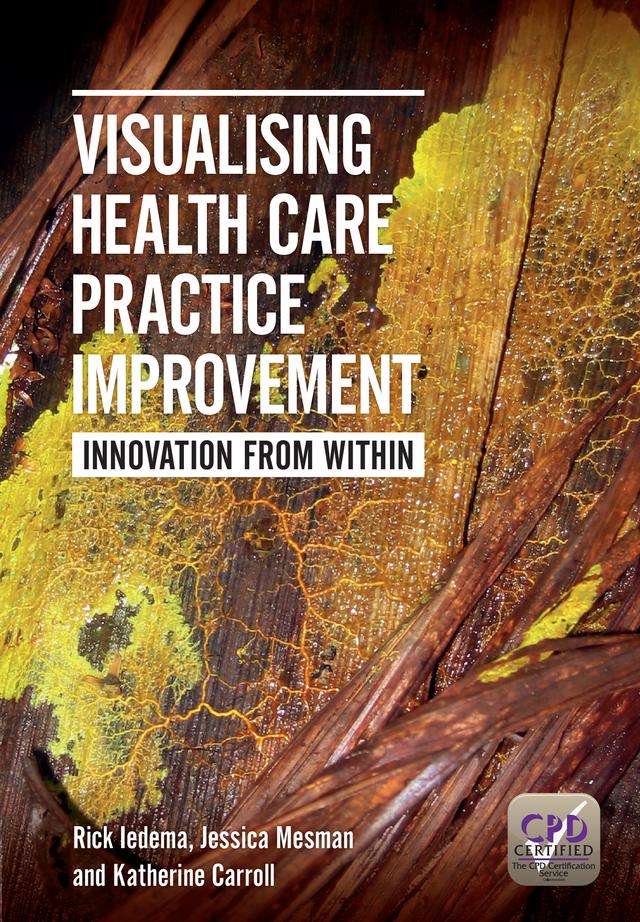 Visualising Health Care Practice Improvement by Jessica Mesman, Katherine Carroll, Rick Iedema