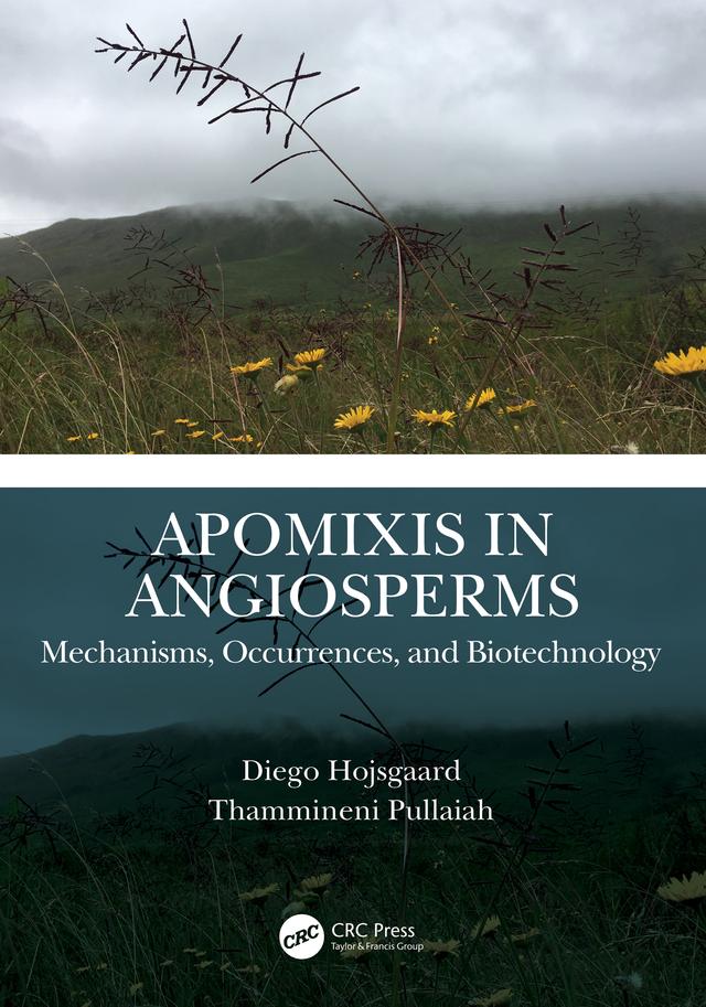 Apomixis in Angiosperms by Diego Hojsgaard, Thammineni Pullaiah