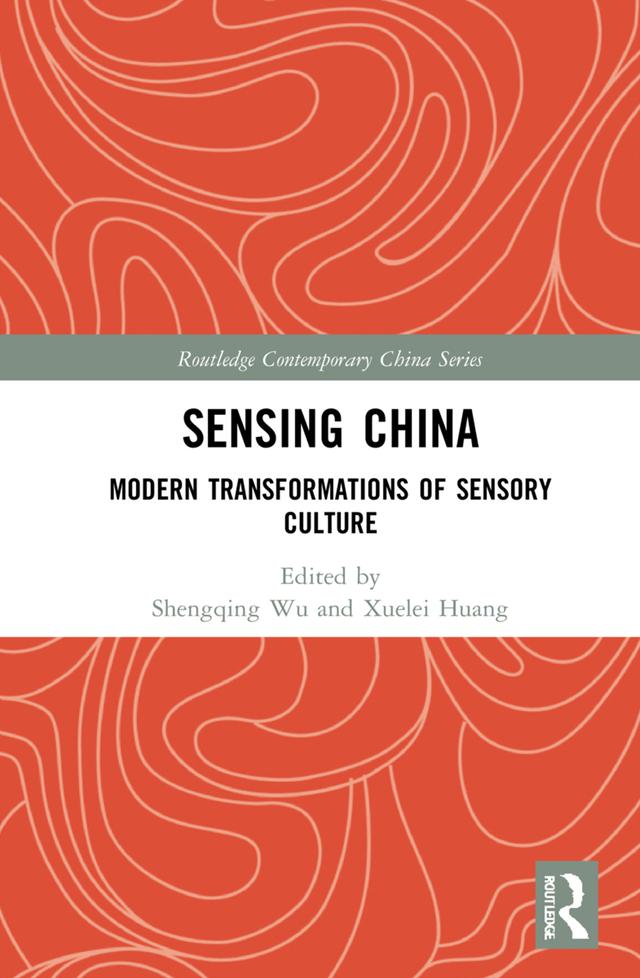 Sensing China by Shengqing Wu, Xuelei Huang
