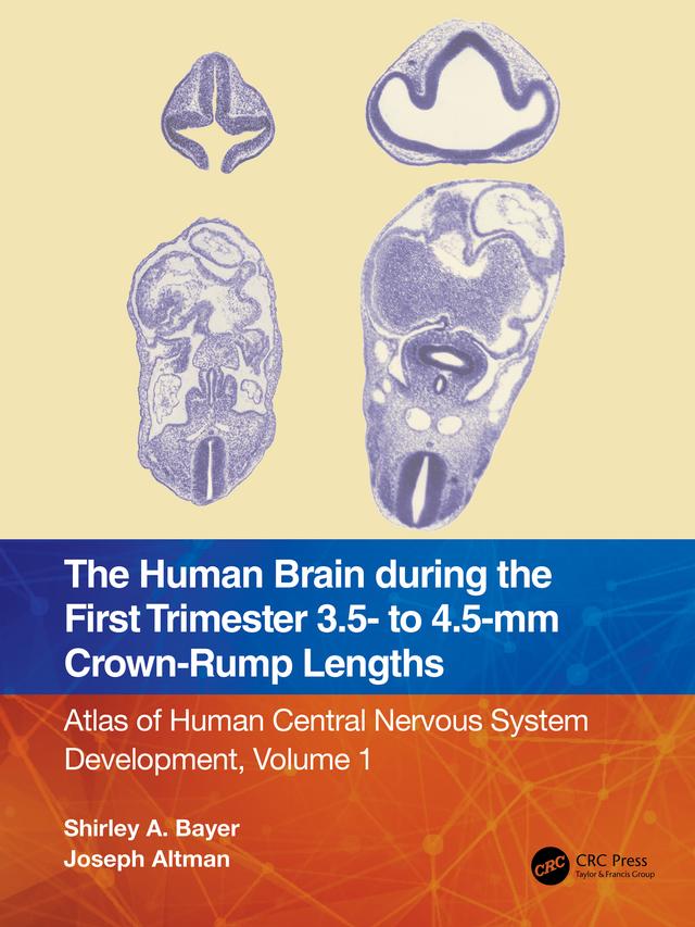The Human Brain during the First Trimester 3.5- to 4.5-mm Crown-Rump Lengths by Joseph Altman, Shirley A. Bayer
