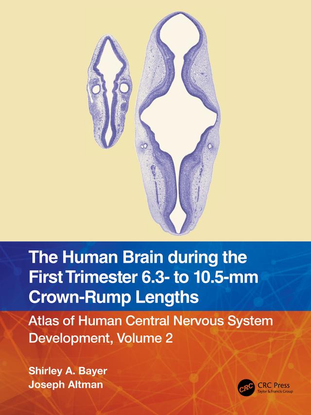The Human Brain during the First Trimester 6.3- to 10.5-mm Crown-Rump Lengths by Joseph Altman, Shirley A. Bayer