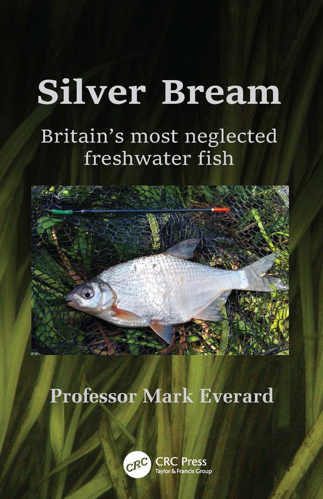 Silver Bream by Mark Everard