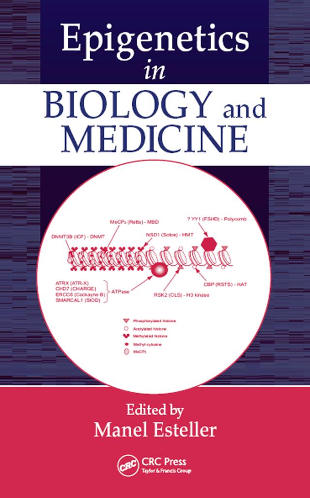 Epigenetics in Biology and Medicine by Manel Esteller