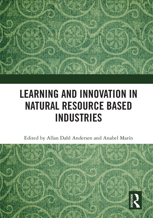 Learning and Innovation in Natural Resource Based Industries by Allan Dahl Andersen, Anabel Marín