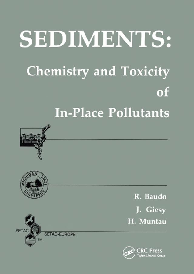 Sediments by Renato Baudo