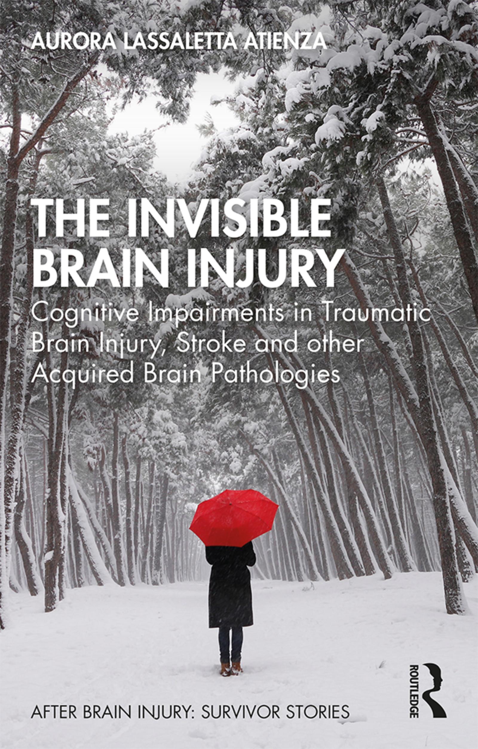 The Invisible Brain Injury