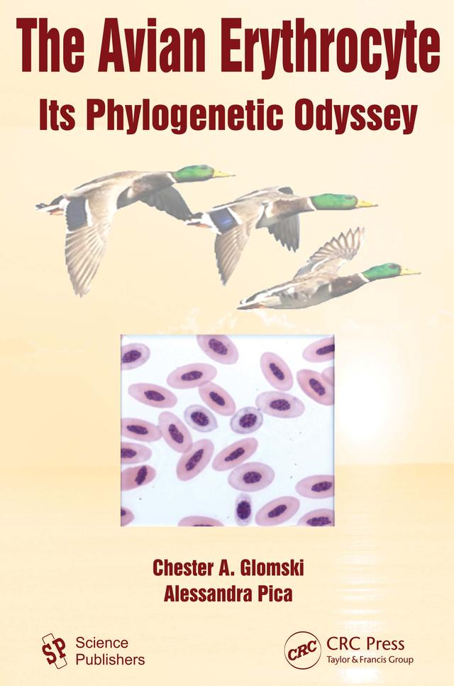 The Avian Erythrocyte by Alessandra Pica, Chester A. Glomski