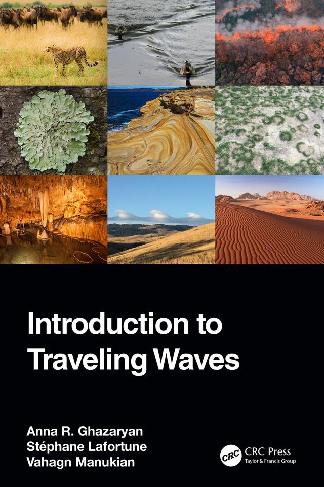 Introduction to Traveling Waves by Anna R. Ghazaryan, Stéphane Lafortune, Vahagn Manukian