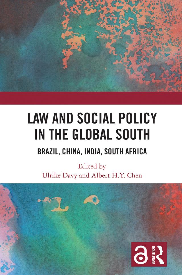 Law and Social Policy in the Global South by Albert H.Y. Chen, Ulrike Davy