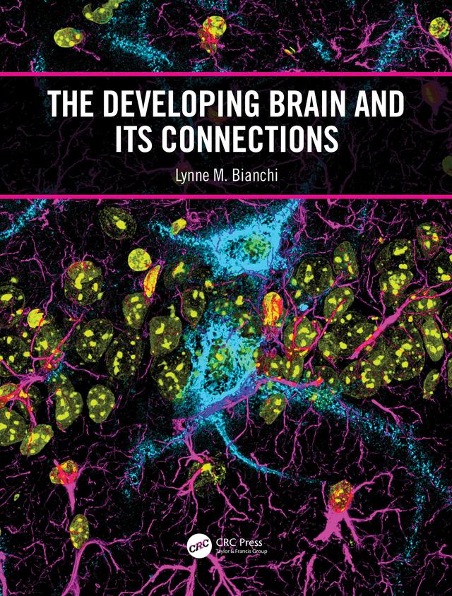 The Developing Brain and its Connections by Lynne M. Bianchi