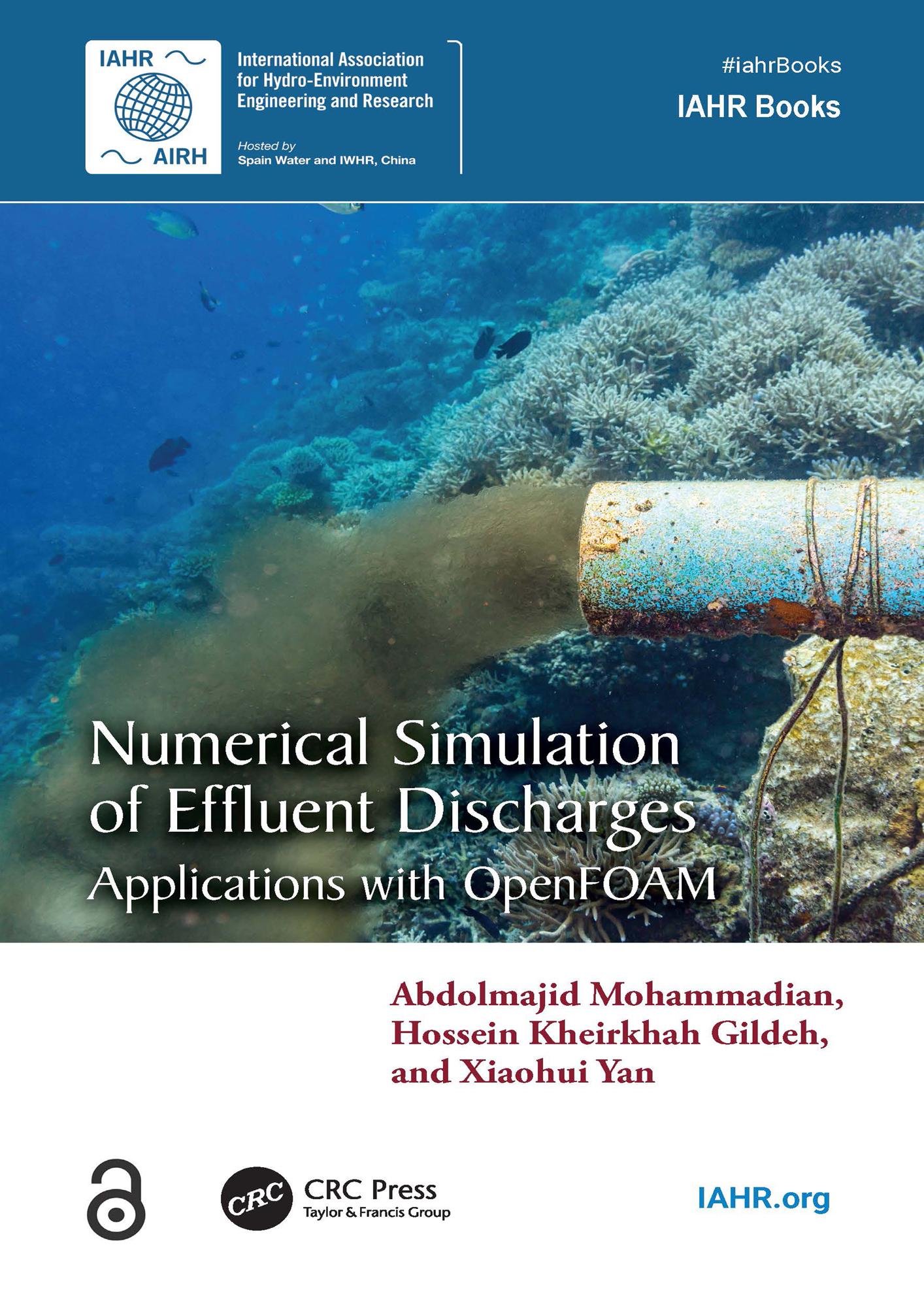 Numerical Simulation of Effluent Discharges