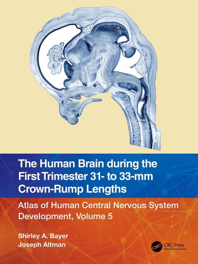 The Human Brain during the First Trimester 31- to 33-mm Crown-Rump Lengths by Joseph Altman, Shirley A. Bayer
