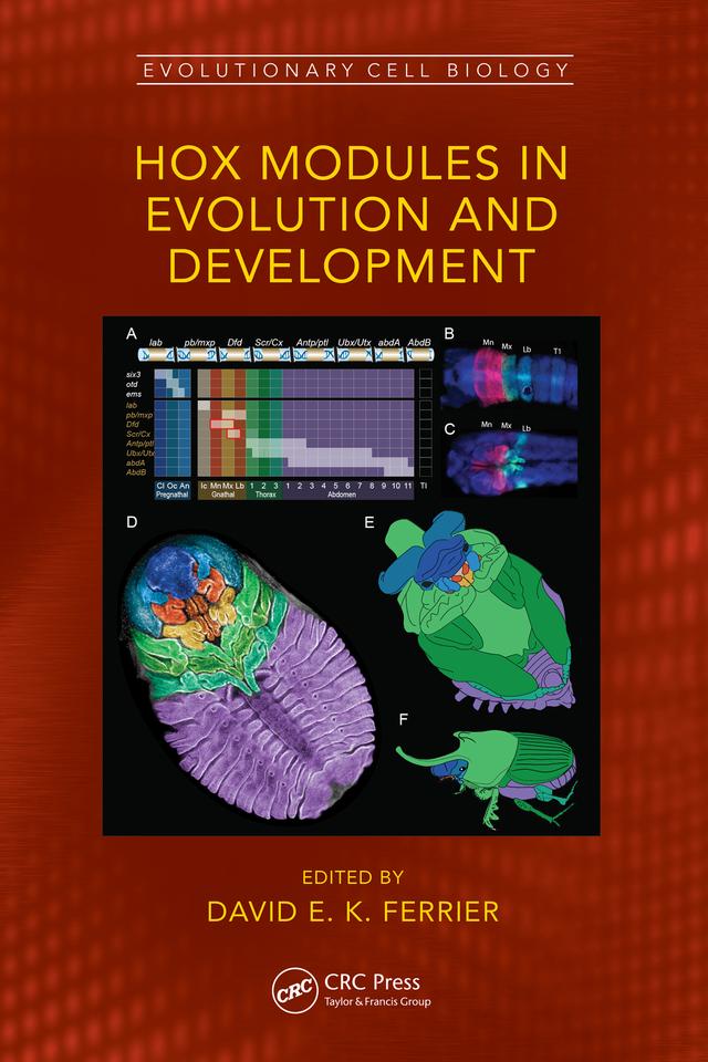 Hox Modules in Evolution and Development by David E. K. Ferrier