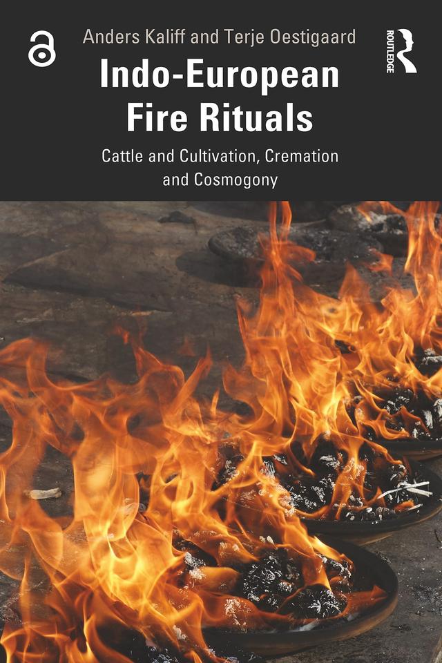 Indo-European Fire Rituals by Anders Kaliff, Terje Oestigaard